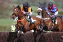 Afterclass and Left Back in action at Fife Point-to-Point