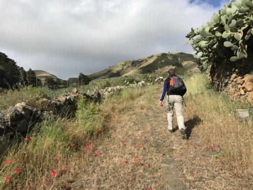 Robin exploring El Hierro on foot.