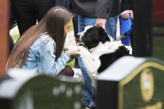 Shep attends the funeral of his owner Peter Robson in Dundee.