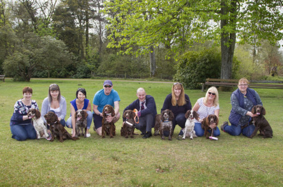 Jacqui Low, third right, with Fern (mother of all the dogs) and Thomas Masters, fourth right, with his film star Bravehound dog Antis.