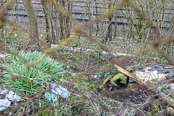 Discarded rubbish plagues many of our hedgerows and roadside verges.