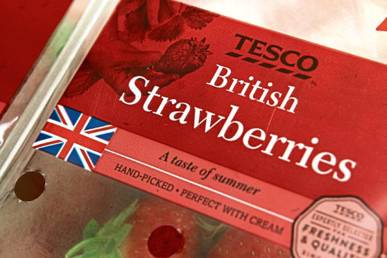 Courier News - story - Scottish/British strawberries.
Picture shows some Scottish strawberries, picked up in the Tesco store at Kingsway West Retail Park today, Tuesday 23rd August 2016, branded as 'British' with a Union Jack, even although they are from Perthshire, as it shows on the label.