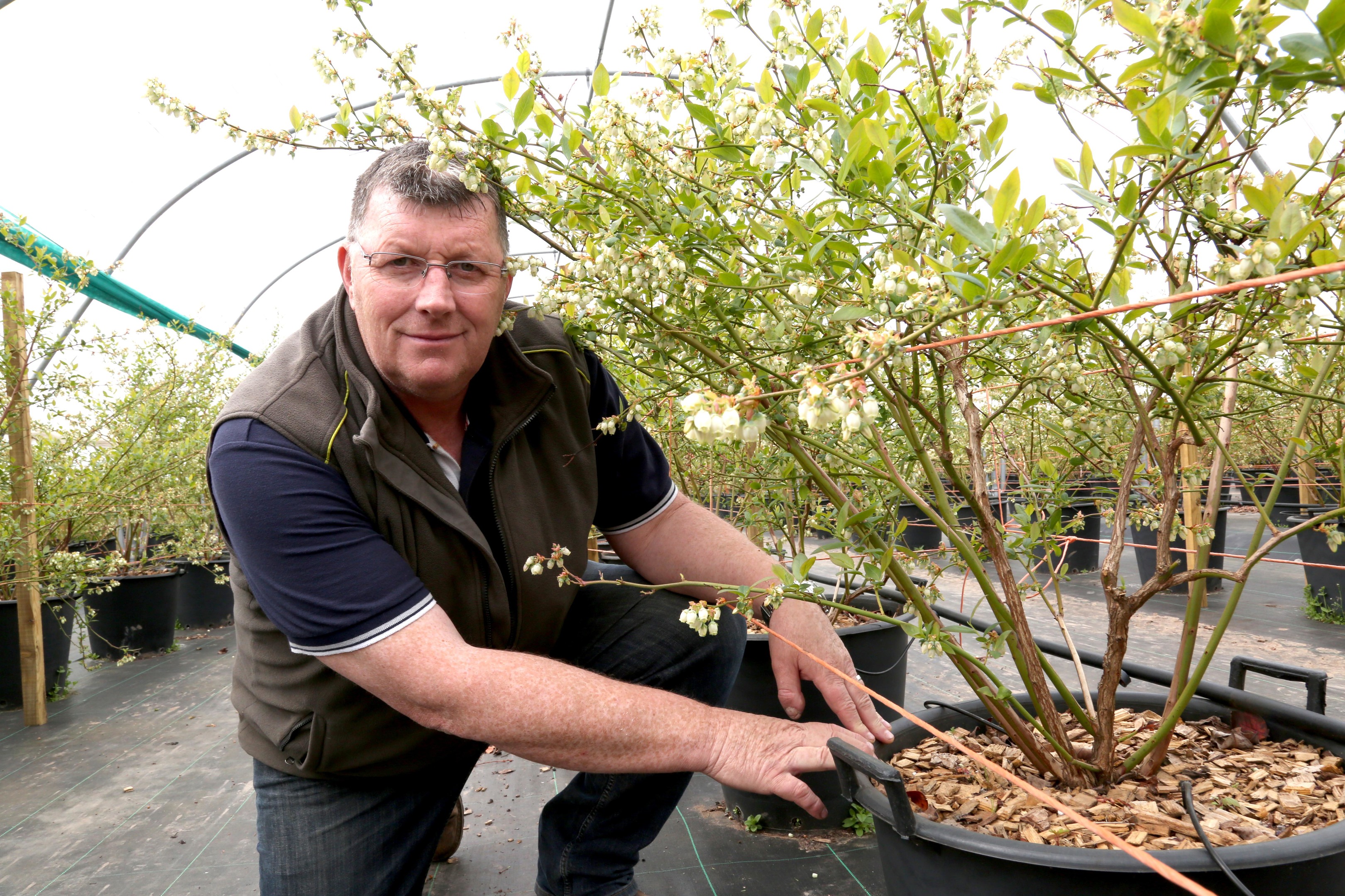 Allen Innes, farm manager at East Seaton farm in Arbroath, has been shortlisted in the Soft Fruit Grower of the Year category at the Horticulture Week awards.