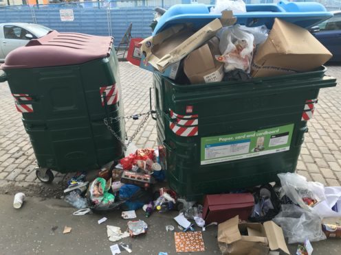 The state of the bins on Ann Street earlier this year.