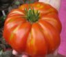 Beafheart tomato
