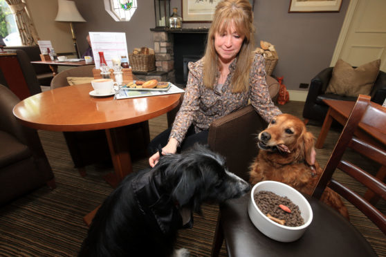 Meg and Sula experience Doggy Dining at the Murraypark Hotel, with Michele Bilsland of Discover Crieff.