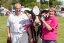 Jim and Isobel Wilson of Carskerdo, Cupar, with their Fife Show champion of champions.