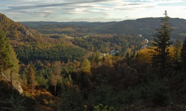 View from Craigviean Forest over Dunkeld and the river Tay.