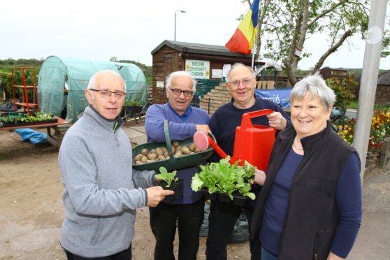 Robert Anderson, Michael Forbes, Michael Cronin and Jess Christie  at the Brechin Community Garden.