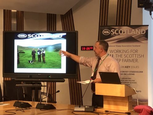 NSA Scotland chairman John Fyall believes the sheep industry has the potential to be worth  £1 billion to Scotland’s rural economy​.