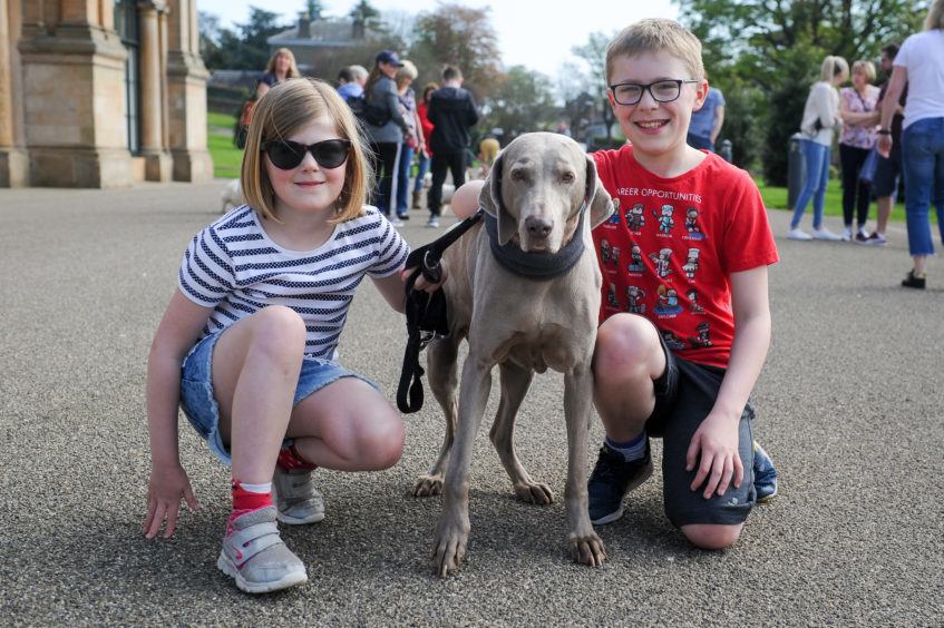 Iona and Angus Hunter sneaked their Weimaraner into the mix — but it's OK. Other breeds were allowed to join the fun!