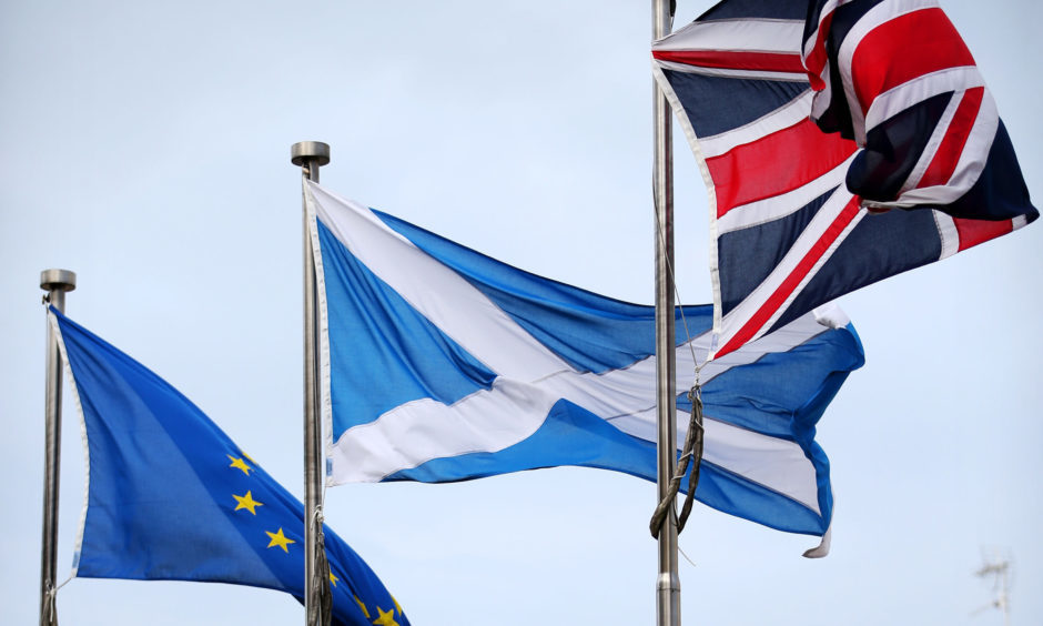 The £99m Scottish meat industry is warning against a "no deal" Brexit