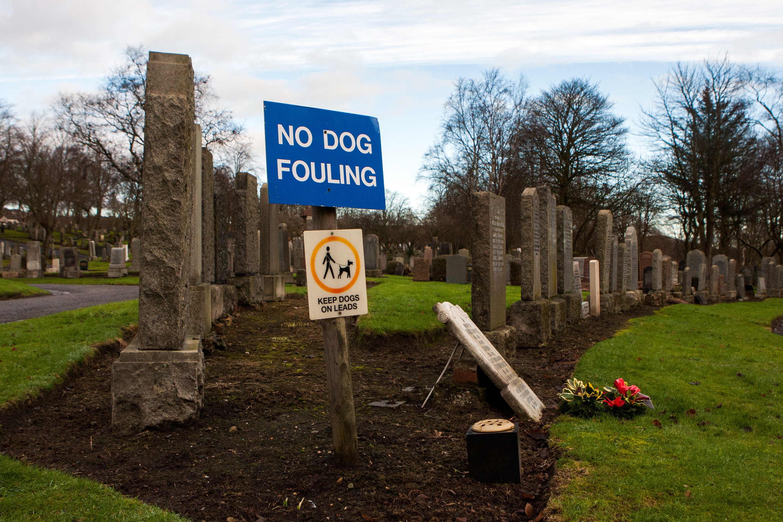 The dog fouling problem has recently been highlighted at a graveyard in Halbeath - but it's happening all over the Kingdom.