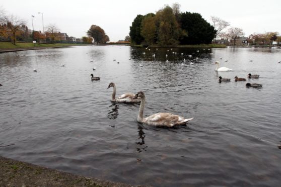 The attack happened at Stobsmuir Ponds.