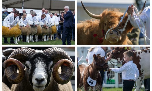 Photos from the 2018 Royal Highland Show.