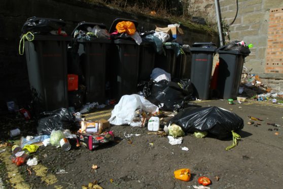 Overflowing rubbish at Seabraes Lane recently.