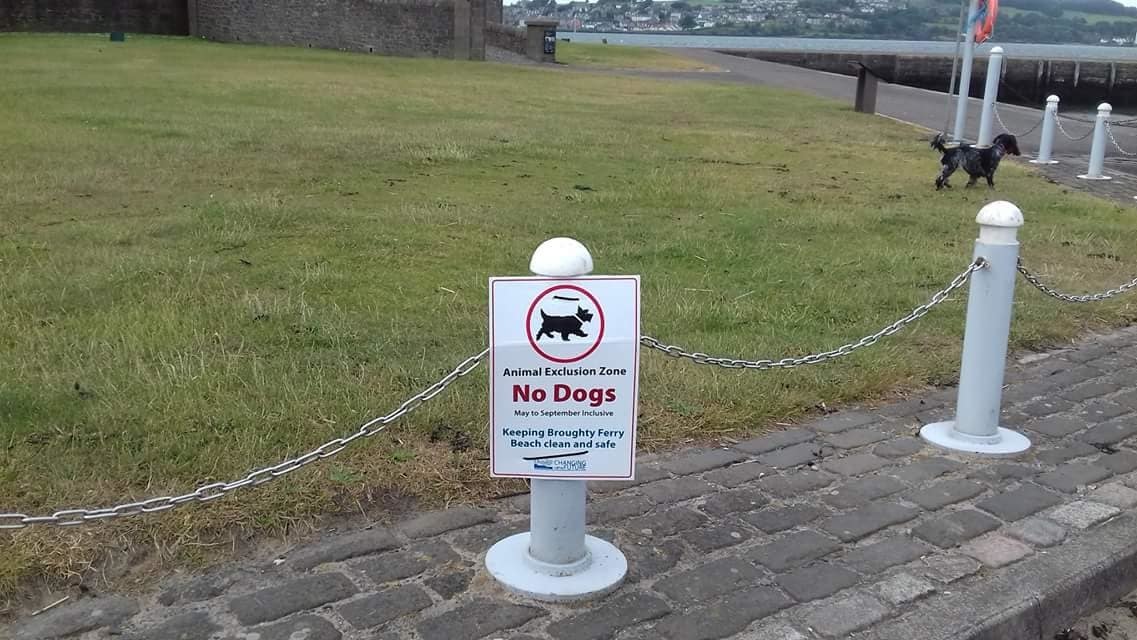 The sign, which has now been moved, appears to be disregarded by one errant pooch.