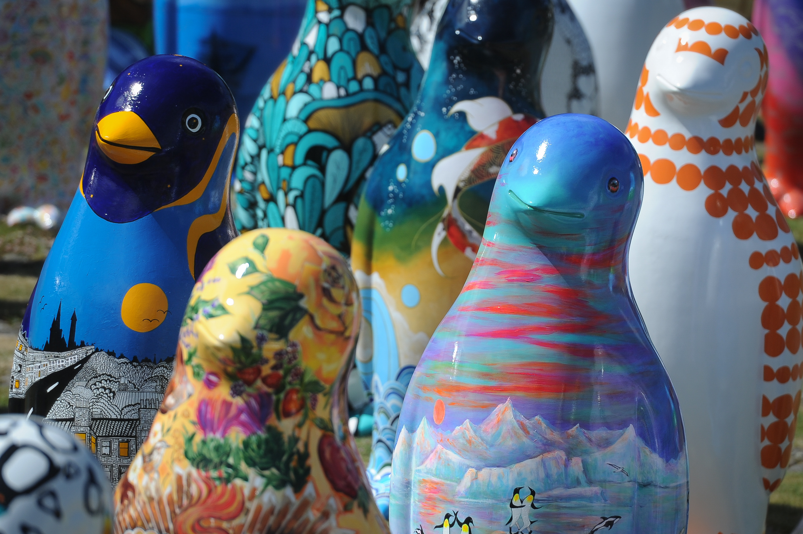 Some of the colourful sculptures on the Maggie's Penguin Parade.