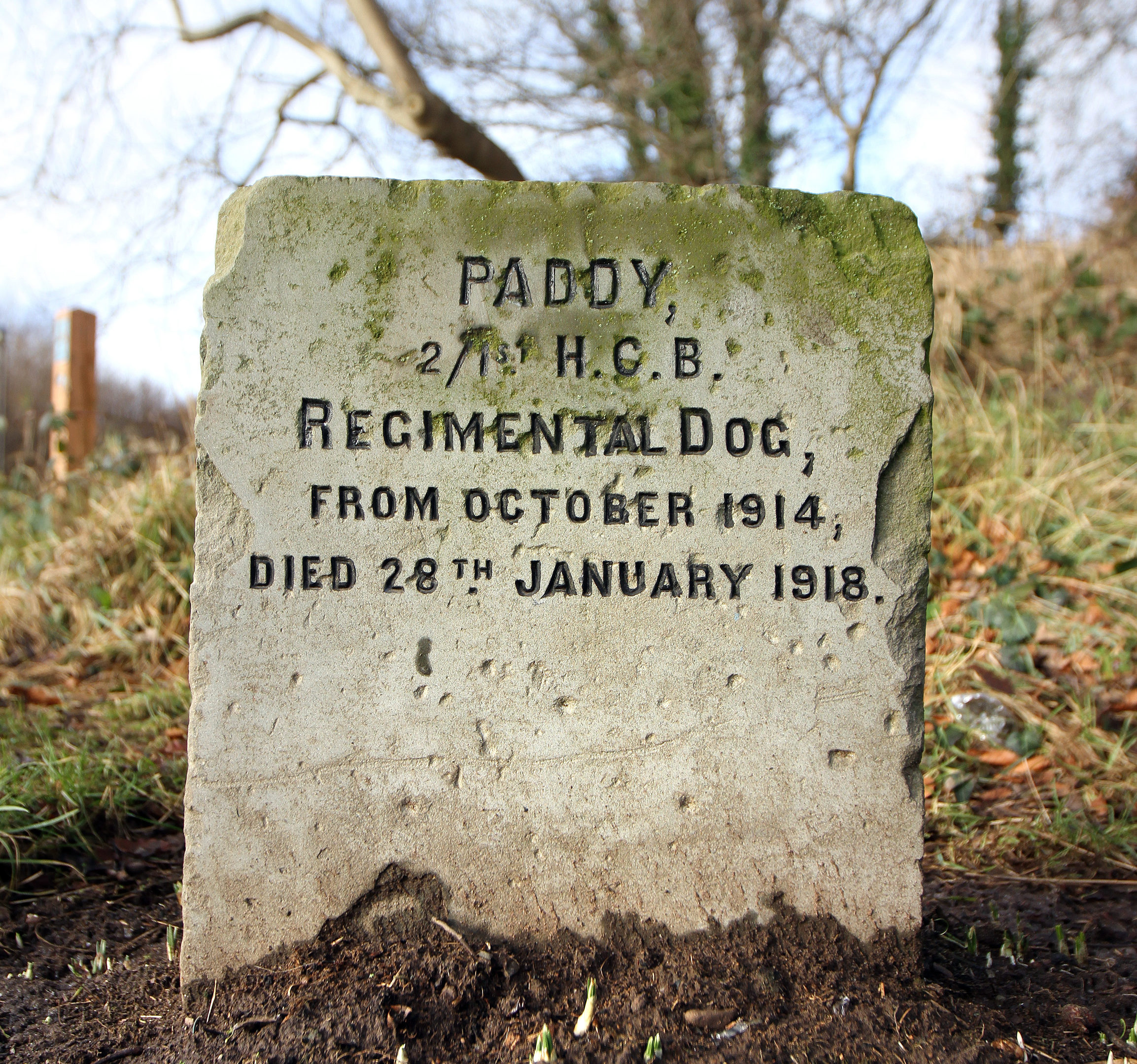 The grave to mark Paddys final resting place.