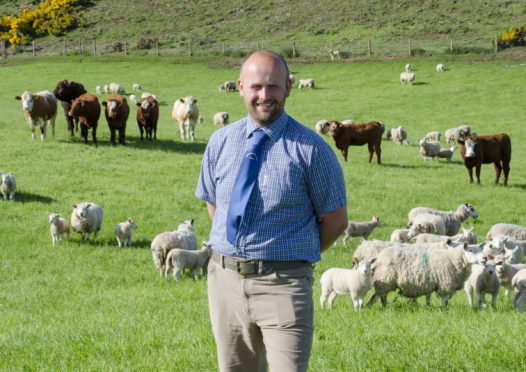 Perth Show chairman John Ritchie.