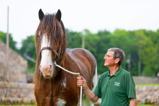 Ronnie Black with stallion Collessie New Approach.