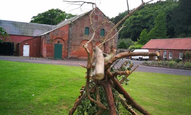 Silverburn Park's flax mill, with a fantastic beast created by artist Drew Walker