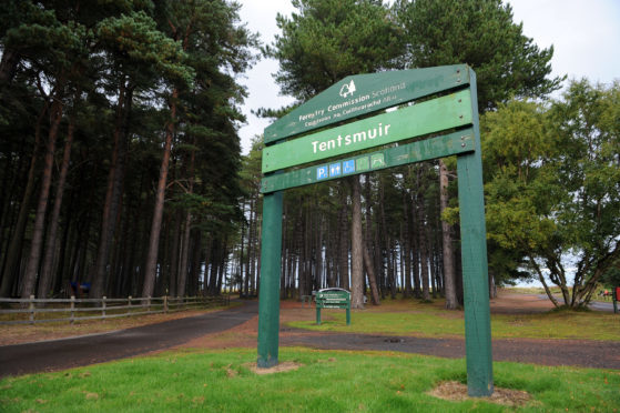 Tentsmuir Forest.