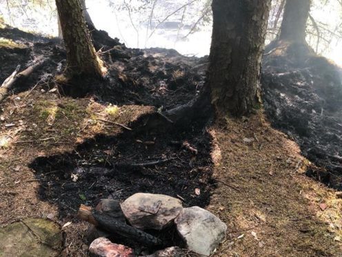 Fire broke out in woods in Glen Tilt