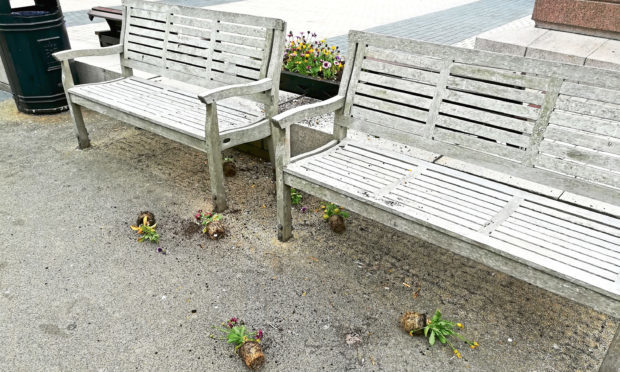 Pathetic: Flowers strewn on the ground after being ripped from a planter in Meadowside, Dundee.