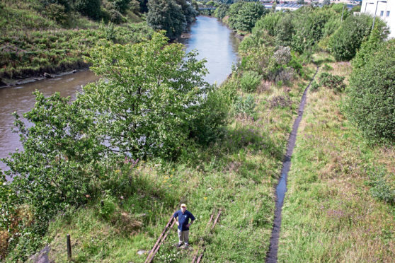 The overgrown railway lines at Leven.