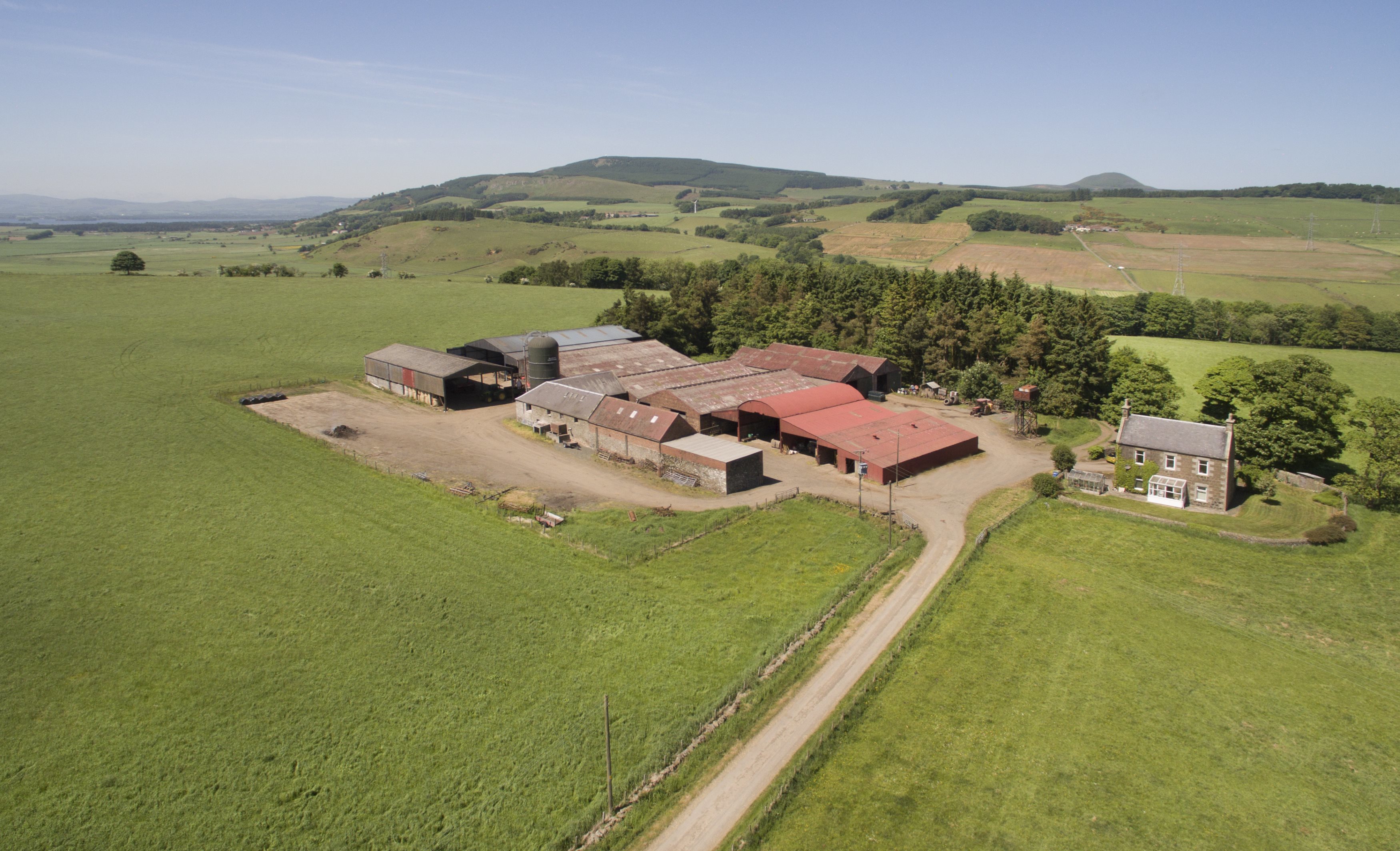 The farming system at Auchmuir is a mix of arable and livestock.