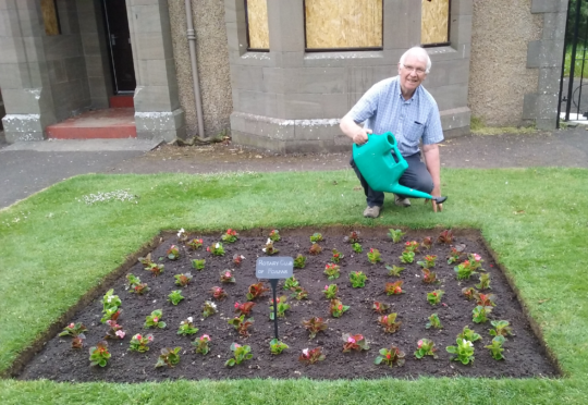 Sandy Ogilvie tending the plants in the Boyle Park.