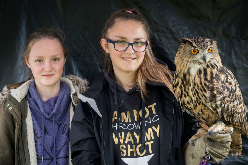 Sisters Melissa Agnew, 11, and Megan, 14, with a European Eagle Owl at the falconry stand at the Festival of Fun.