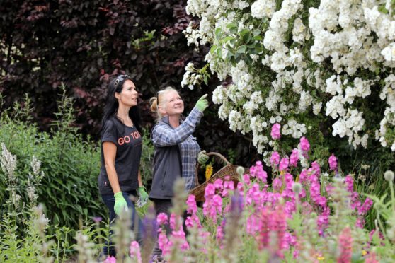 Gayle and Cambo's head gardener Fay McKenzie cut and gather flowers.