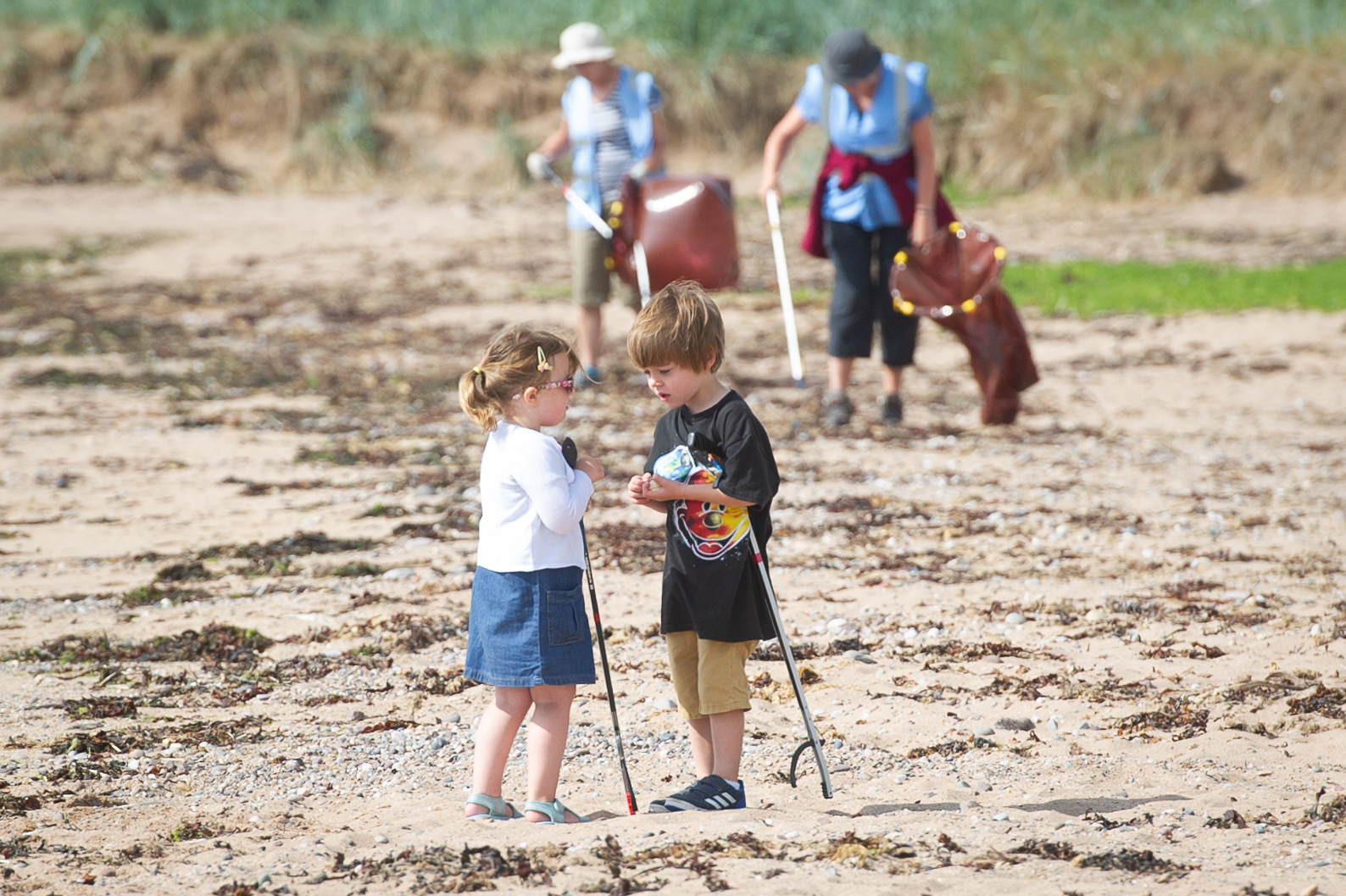 Some of the volunteer litter pickers at East Haven Beach during a BioBlitz in July.