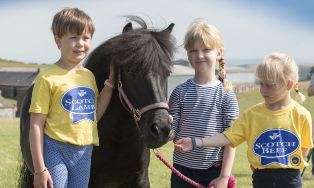 Children were able to get close to their favourite horses at the Perth Show.