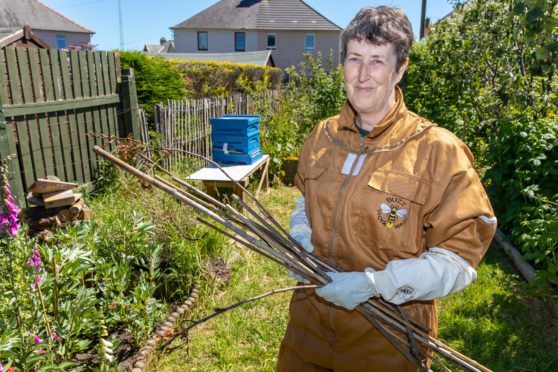 Trainee beekeeper Pauline Normand with some of the sticks that were poked at the bees.