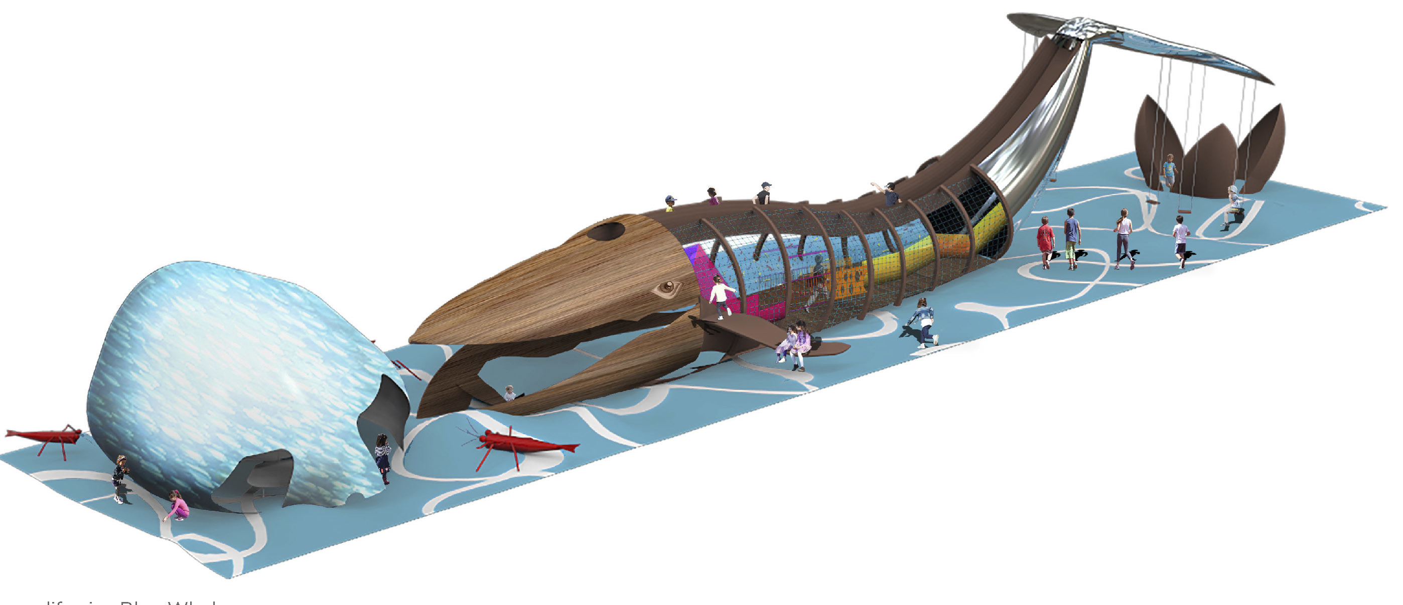 The initial concept proposal of the whale
