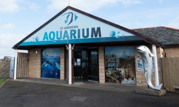 Big Mac, seen on the right, went missing from his usual spot outside St Andrews Aquarium.