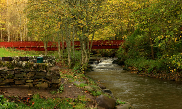 Quarrymill Woodland Par.