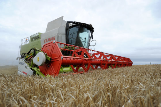 The growing conditions in 2018 have produced barley with high nitrogen levels.