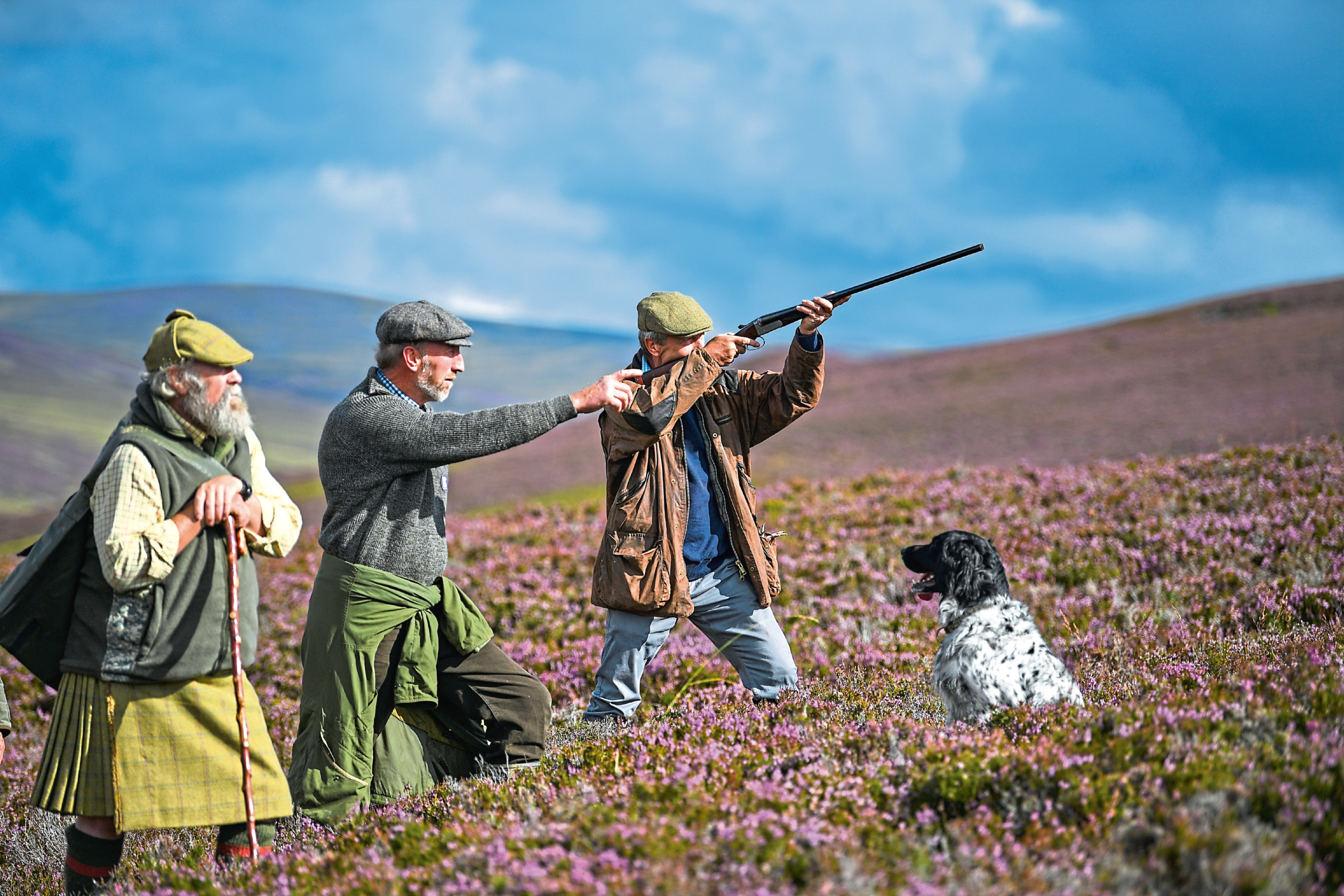 Grouse shooting is thought to be down this year across Scotland