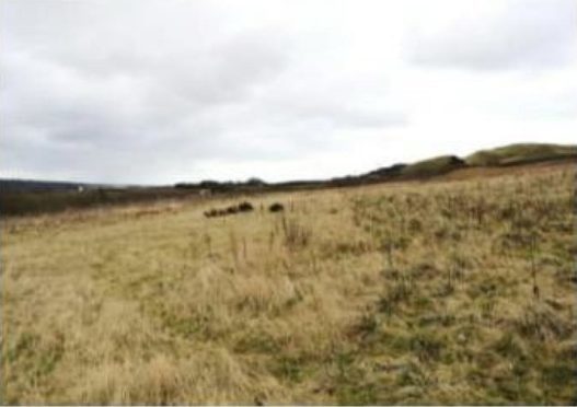 The site near Balbie Farm which could be turned into a landfill.