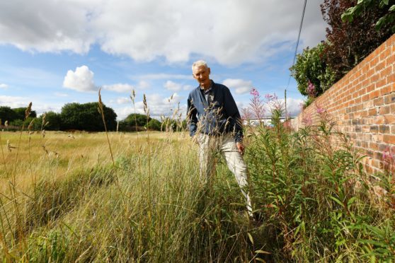 Sandy Mowat beside some of the overgrown weeds at the back of his house in Johnston Avenue.