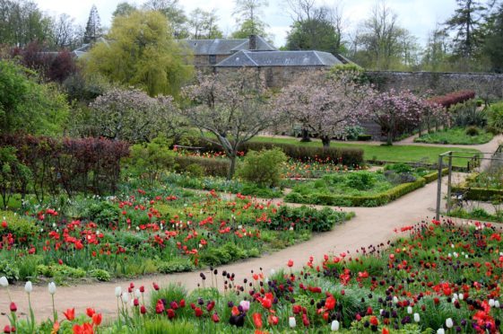 Guests at the wood-fired feast can enjoy their food in stunning surroundings