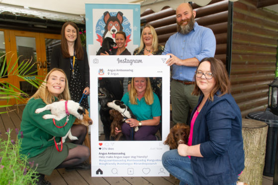 At the launch of the Angus Ambassadogs serach at Forbes of Kingennie (back) Claire Lornie, Ann-Marie Black, Morag and Stuart Clark (front) Libby Sutherland, Louise Nicoll and Vicky Gunn,