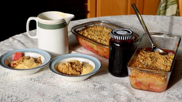 Rhubarb crumble and rhubarb and saskatoon jam