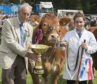 Stephanie Dick won the Angus Howie Trophy for the event’s champion of champions.