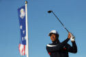The resurgent Tiger Woods hasn't done so well in US colours in the Ryder Cup.