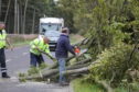 Trees being cleared near Carnoustie.